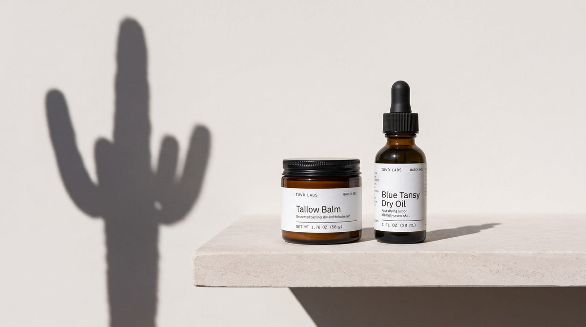 Tallow Balm and Blue Tansy Dry Oil on a ledge, with a saguaro shadow on the wall