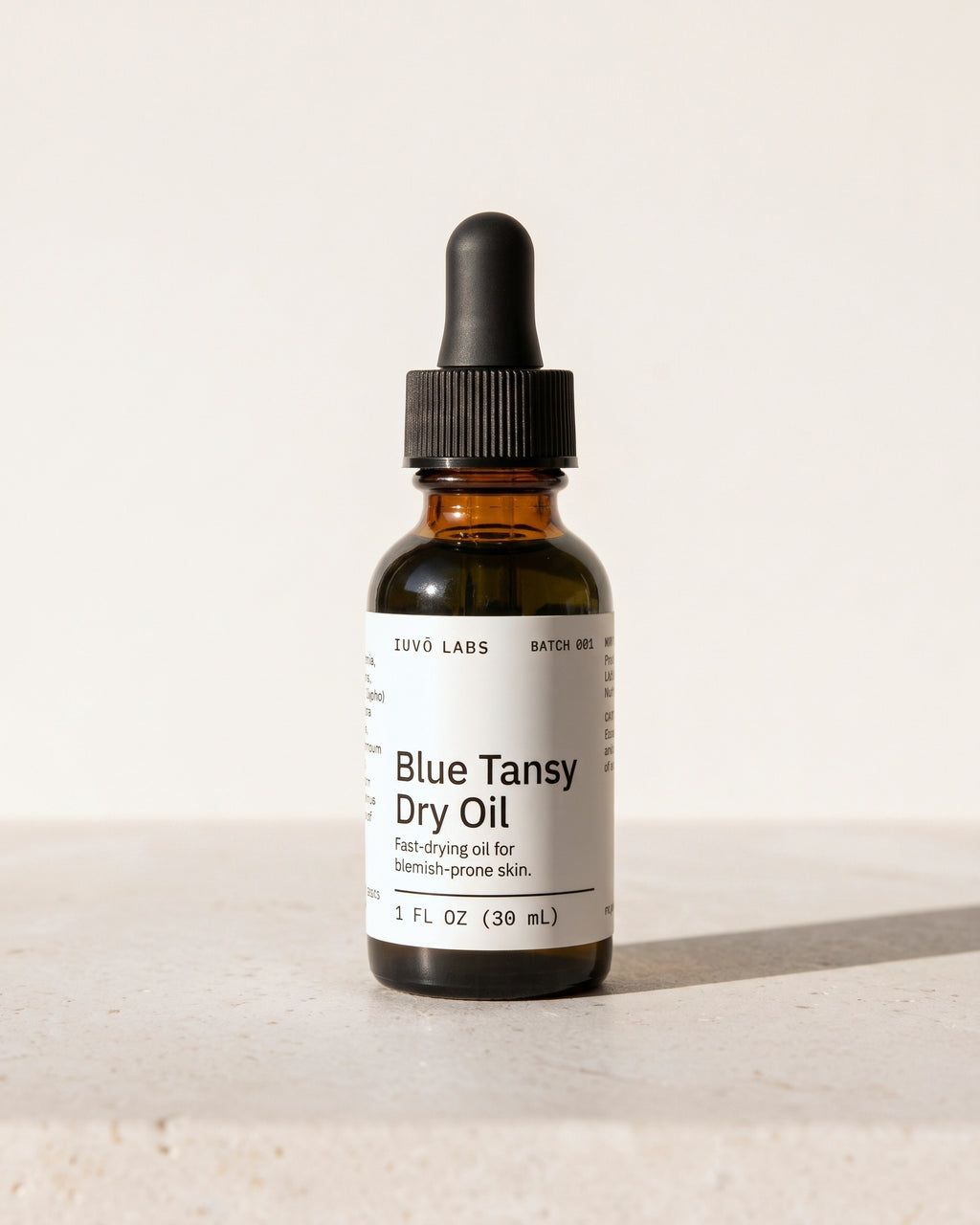 Blue Tansy Dry Oil on pale stone in late afternoon sun